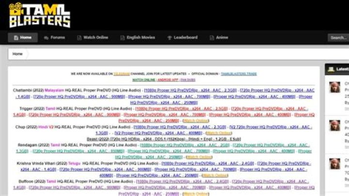 1TamilBlasters New Domain 2024: Everything You Need to Know
