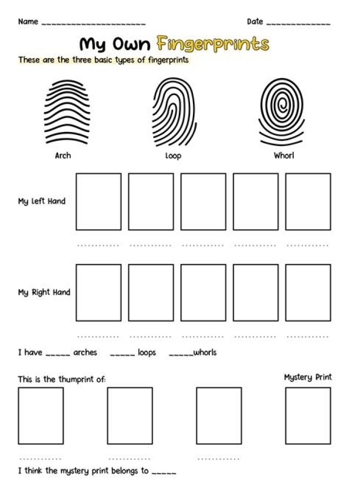 4 Girls 1 Fingerprint: Unraveling the Mystery Behind the Viral Phenomenon