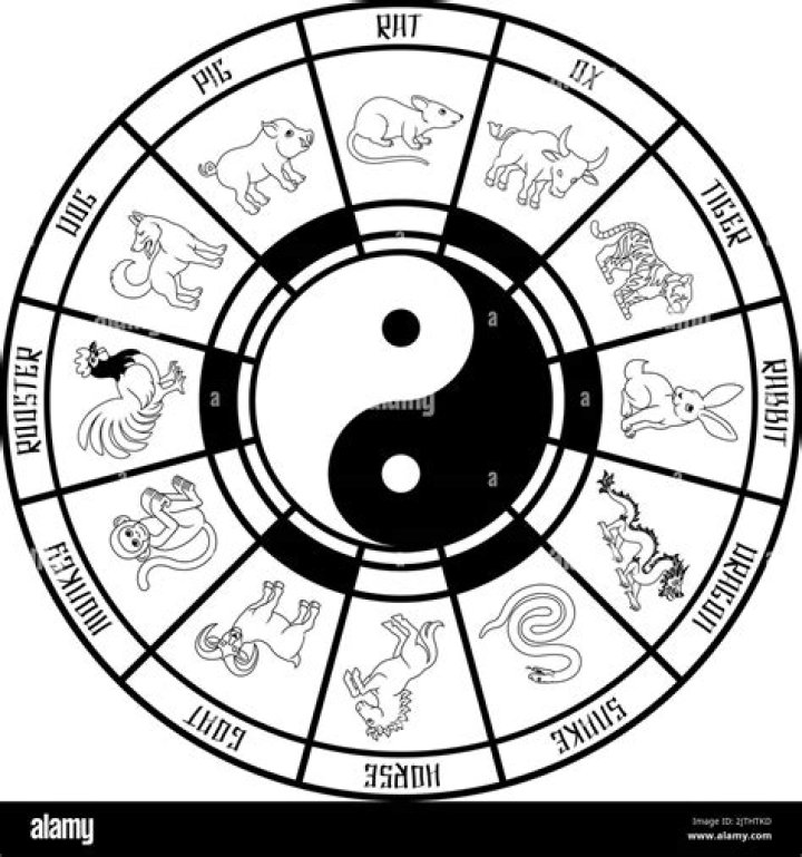 84 Chinese Zodiac: Unveiling the Secrets of Your Destiny