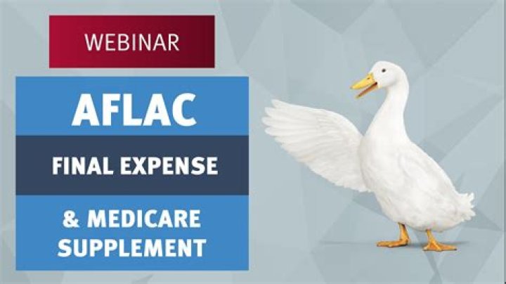 Aflac Information: Comprehensive Guide to Supplemental Insurance