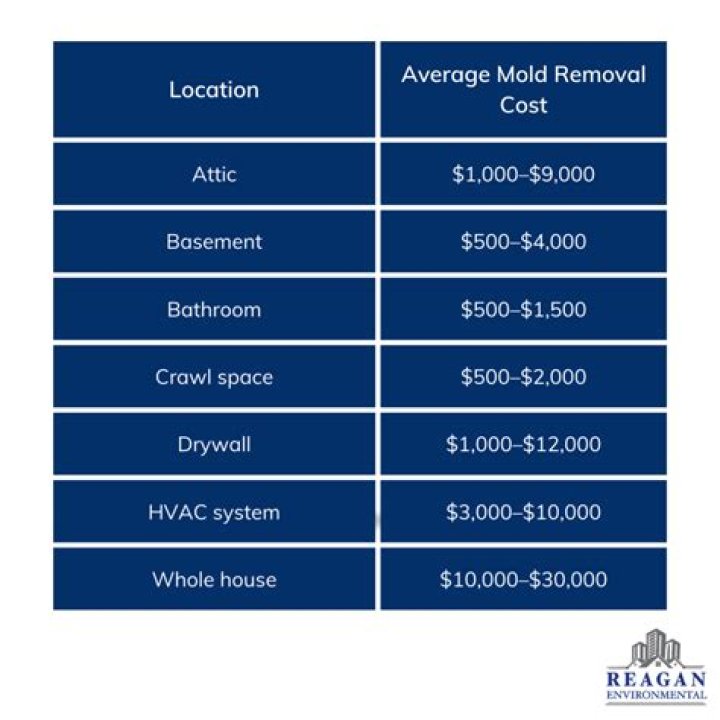 Attic Mold Removal Companies Near Me: Comprehensive Guide to Effective Mold Remediation