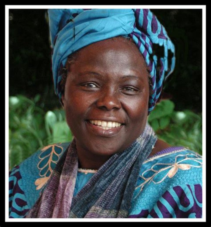 Barbara Wilson: Exploring the Life and Achievements of a Remarkable Figure