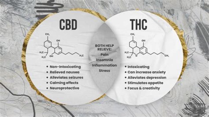 CBD for Pain Relief: A Comprehensive Guide to Understanding and Using CBD Effectively