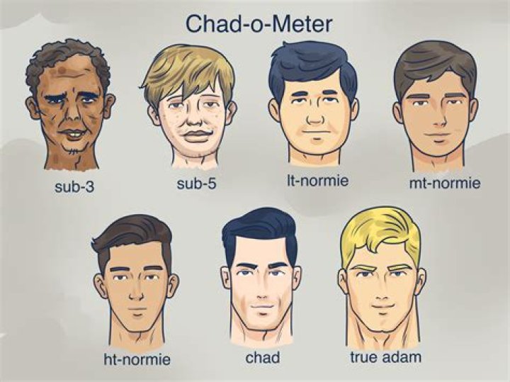 Chadlite: The Ultimate Guide to Understanding and Utilizing This Powerful Tool
