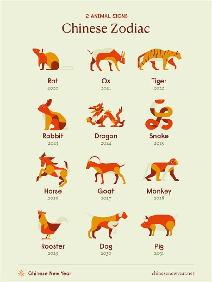 Chinese Animal Year 1984: Discover Your Zodiac Sign and Its Influence on Your Life