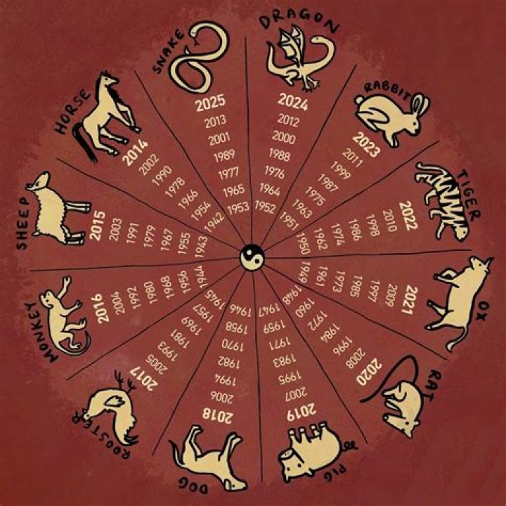 Chinese Year 1984: Unveiling the Mysteries of the Wood Rat Zodiac