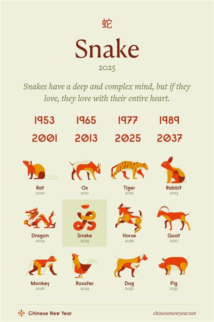 Chinese Zodiac 1965 Animal: Everything You Need to Know About the Year of the Snake