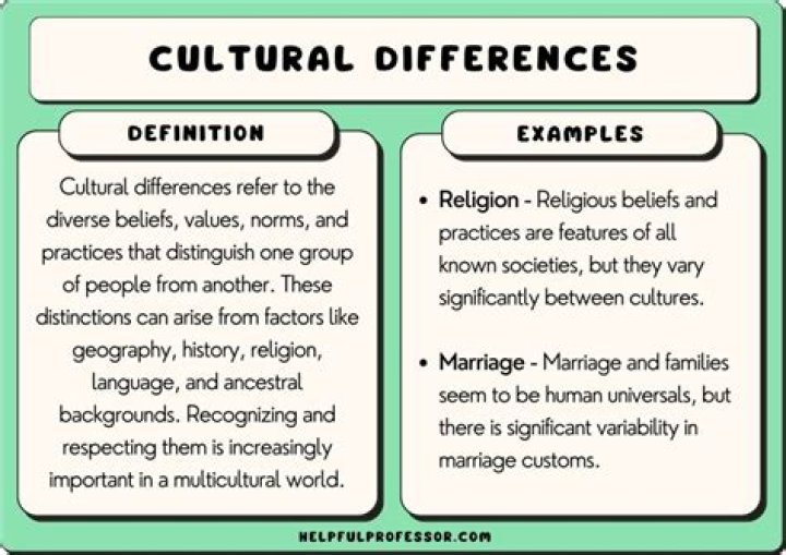 Czeck Wife Swap: Understanding the Cultural and Social Dynamics