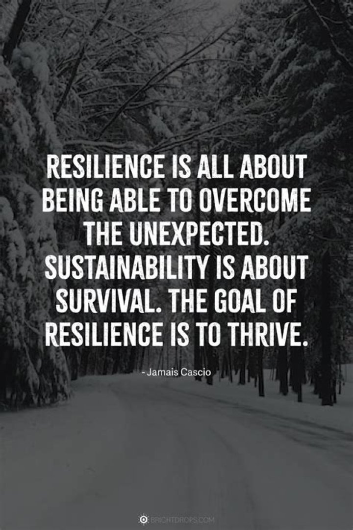 Dana Reeve: A Life of Resilience, Advocacy, and Inspiration