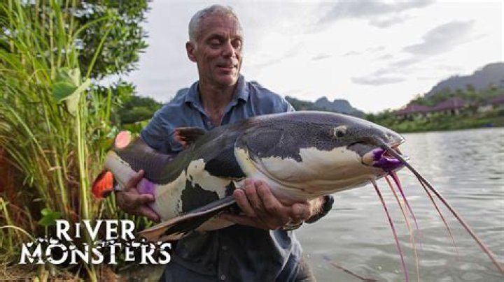 Did Jeremy Wade Pass Away? Unraveling the Truth About the Legendary River Monster Hunter