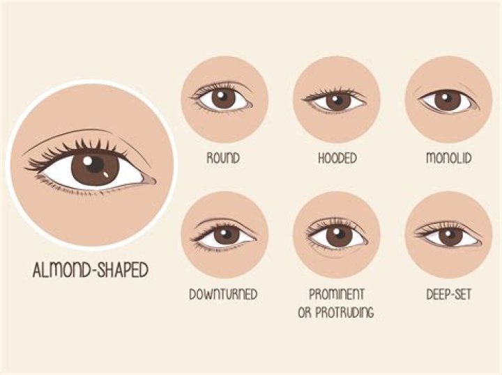 Discover the Allure of Almond Eyes: A Comprehensive Guide to This Unique Eye Shape