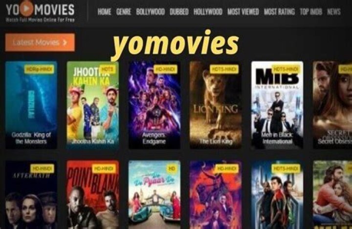 Discover the Best Movies and TV Shows on Yomovies.co: Your Ultimate Streaming Guide