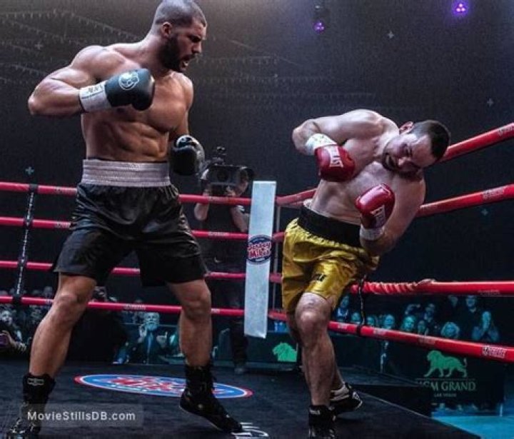 Florian Munteanu Boxing Record: A Comprehensive Overview