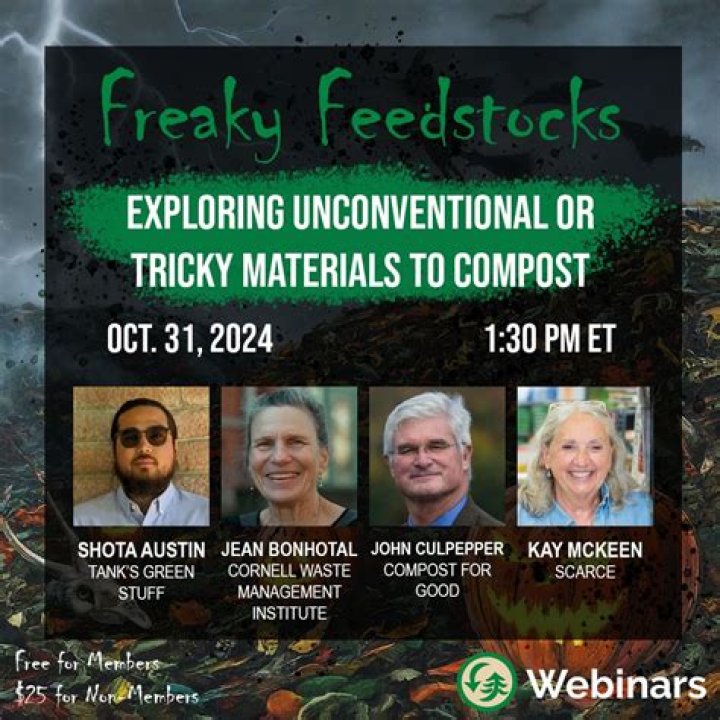 Freaky: Exploring the Unconventional and the Strange