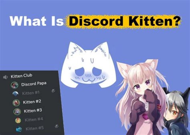 How Much Do Discord Kittens Get Paid: A Comprehensive Guide