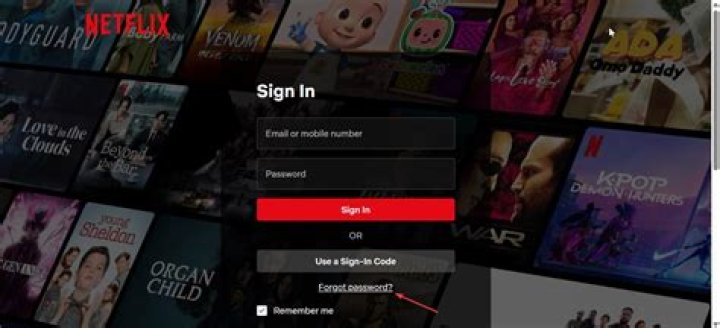 How to Access Netflix Premium Account for Free: A Comprehensive Guide