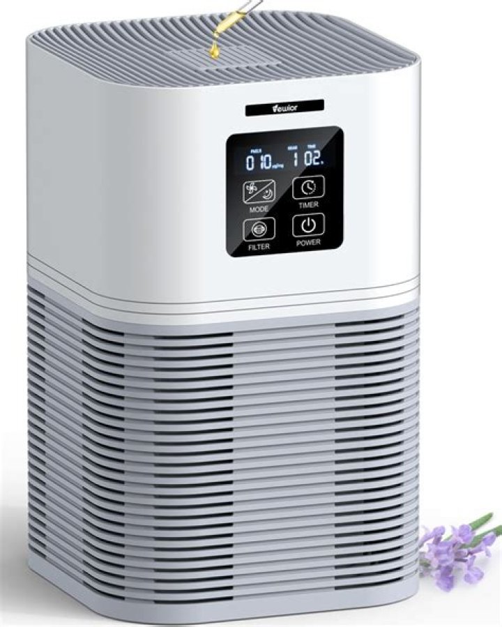 Ionic Air Purifier: A Comprehensive Guide to Cleaner and Healthier Indoor Air