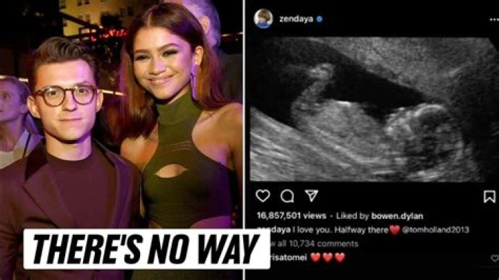 Is Zendaya Pregnant? Everything You Need to Know
