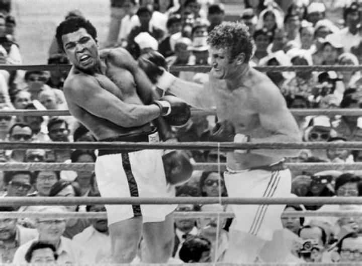 Joe Bugner Net Worth: Unveiling the Wealth of a Boxing Legend