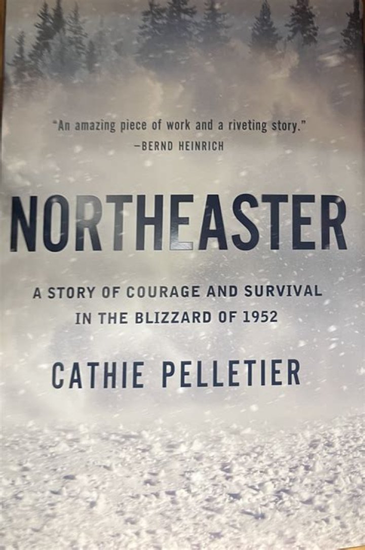 Kerstin Fritzl: The Untold Story of Courage and Survival
