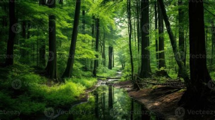Maligoshik: Exploring the Untouched Beauty of Nature