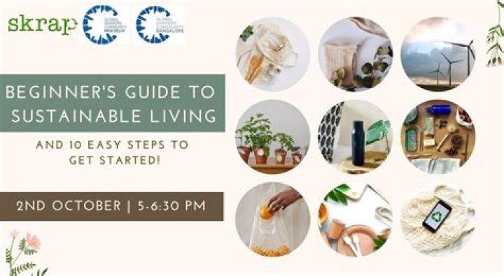 Misty Homestead Rescue: A Comprehensive Guide to Sustainable Living and Restoration