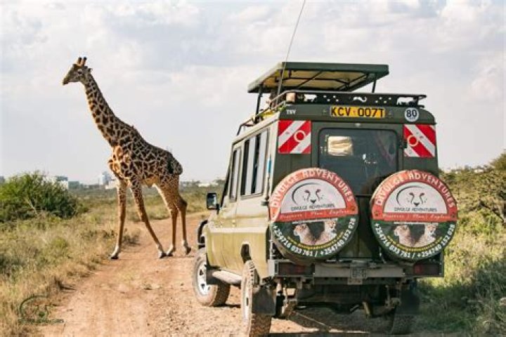 Nairobihot.com: Your Ultimate Guide to Nairobi's Hottest Lifestyle, Travel, and Entertainment