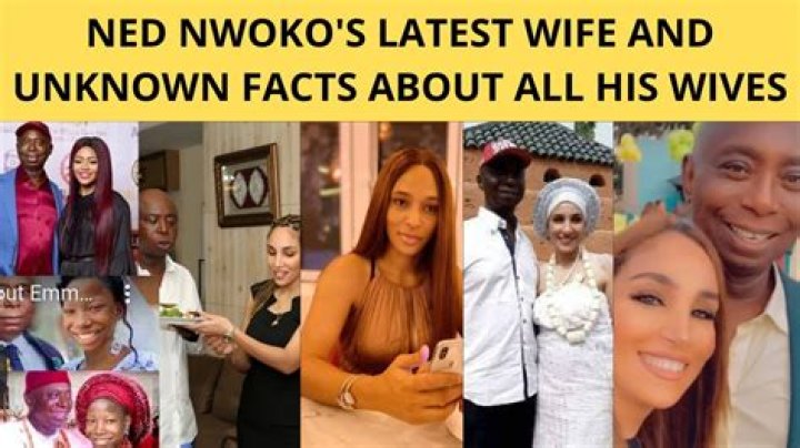 Ned Nwoko First Wife: A Comprehensive Look into Her Life and Influence
