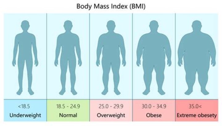 Obese 600 Pound Life: A Comprehensive Guide to Understanding and Overcoming Extreme Obesity