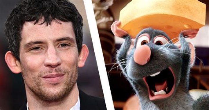 Ratatouille Cast: Exploring Adam Scott's Character and More