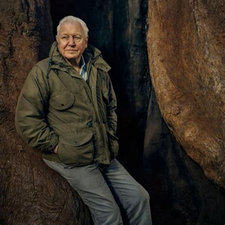 Richard Attenborough Net Worth: A Comprehensive Guide to the Legendary Filmmaker's Wealth