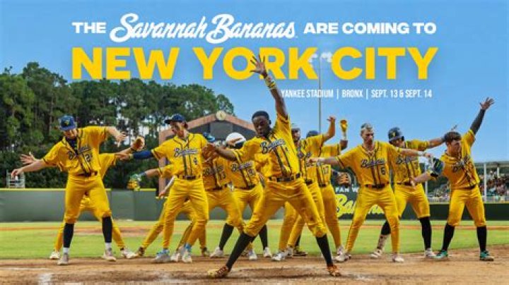Savannah Bananas Salaries: A Comprehensive Guide to Player Earnings and Team Finances