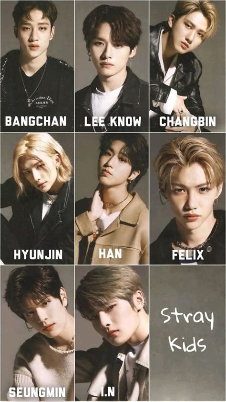 Stray Kids Ages: A Comprehensive Guide to the Members and Their Impact on K-Pop