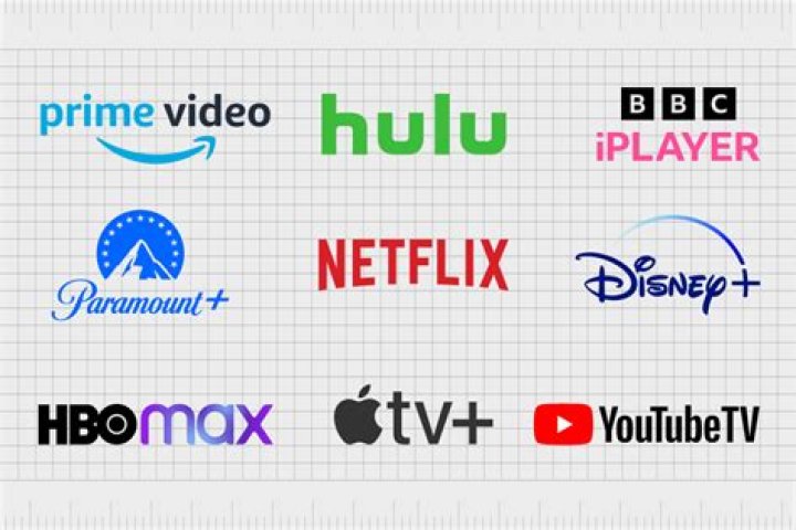 TamilBlasters: A Comprehensive Guide to the Popular Movie Streaming Platform