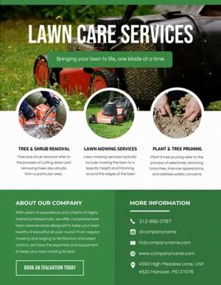 The Blowers Website: Your Ultimate Guide to Lawn Care and Garden Maintenance