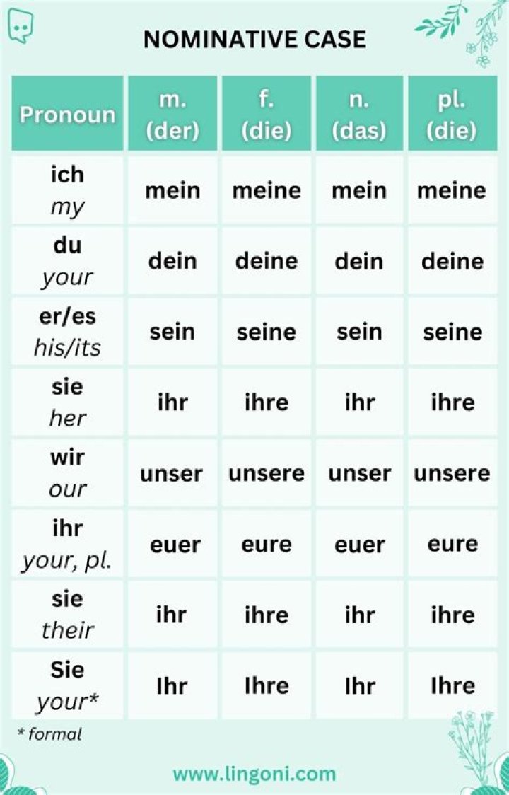 Understanding 6arelyhuman Pronouns: A Comprehensive Guide