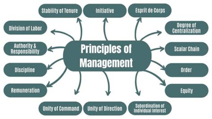 Understanding MGMT: A Comprehensive Guide to Management Principles and Practices
