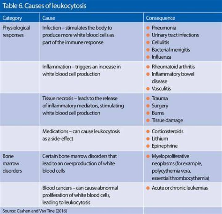Understanding MMSDose: A Comprehensive Guide to Safe and Effective Usage