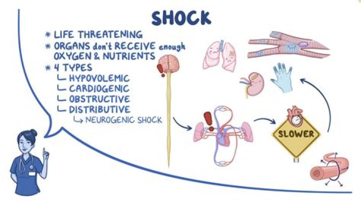 Understanding Shell Shock: Causes, Symptoms, and Treatment