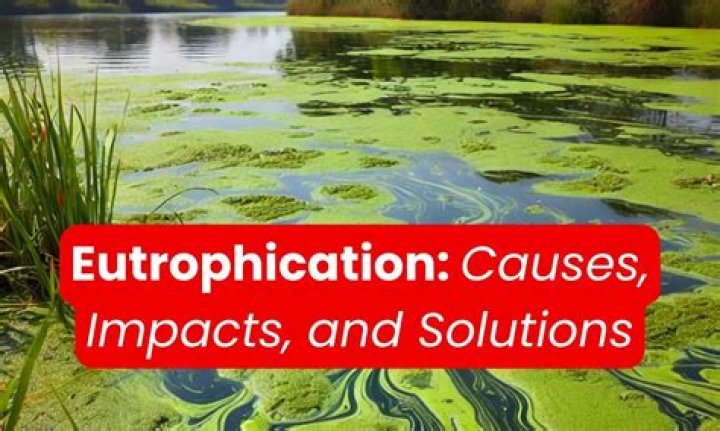 Understanding the Abby Boom Leak: Causes, Impacts, and Solutions