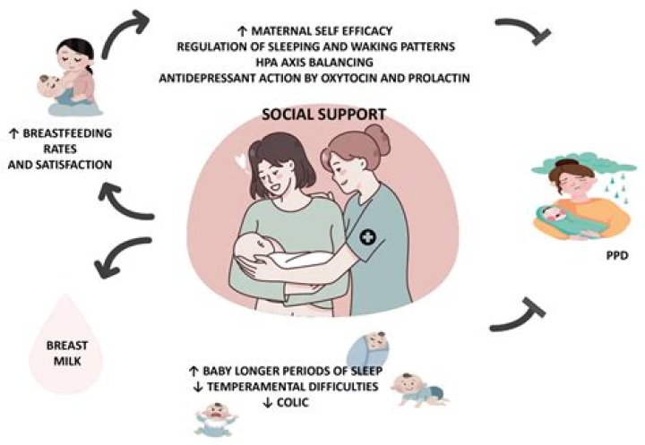 Understanding the Power of a Mother's Warmth: A Lifelong Impact