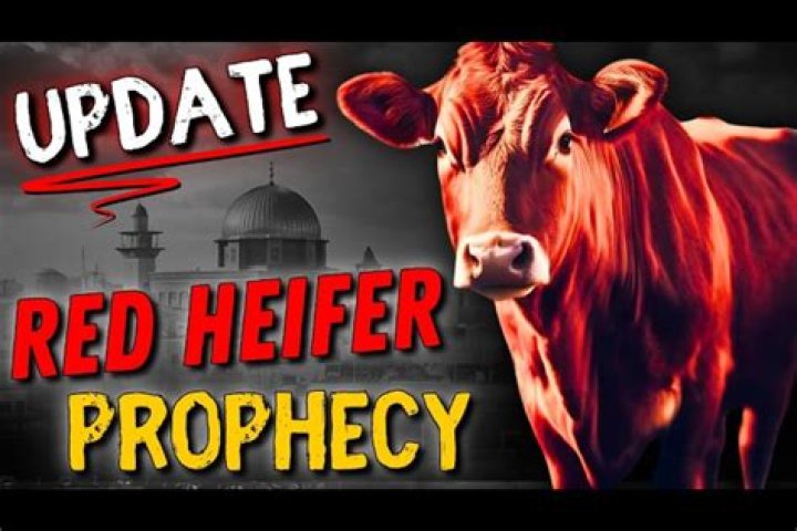 Understanding the Red Heifer Sacrifice 2024: A Comprehensive Guide