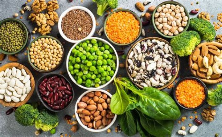 VegMovies 4K: The Ultimate Guide to Enjoying High-Quality Plant-Based Films
