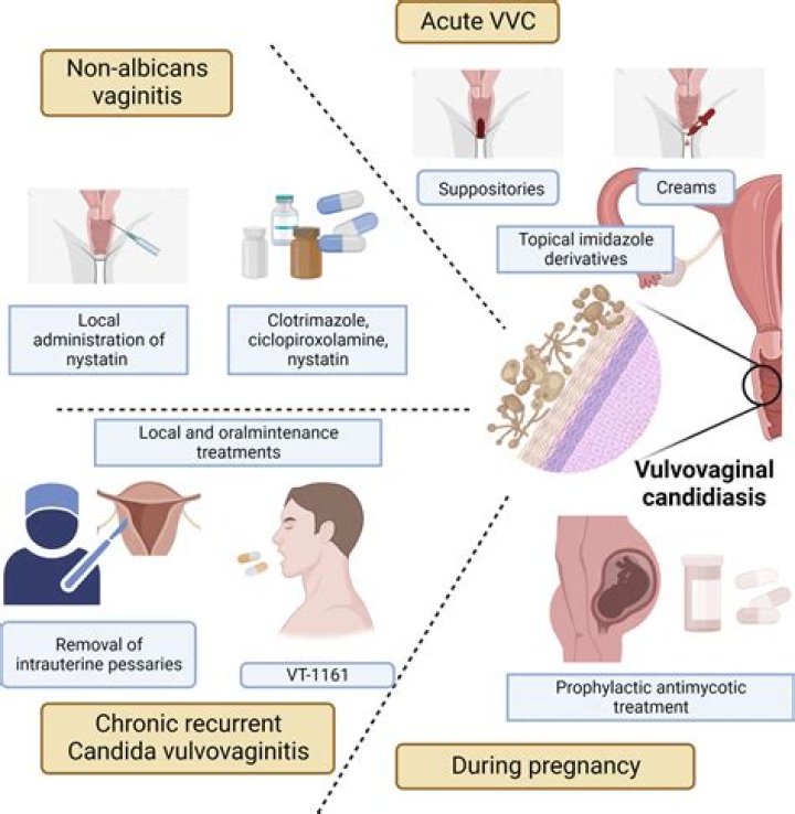 VVC: Understanding the Virus, Its Impact, and How to Stay Protected