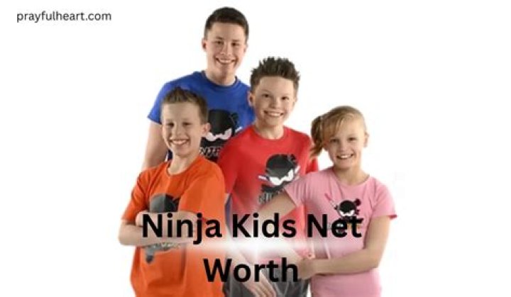 What is the Ninja Kids Net Worth: A Comprehensive Guide to Their Wealth and Success