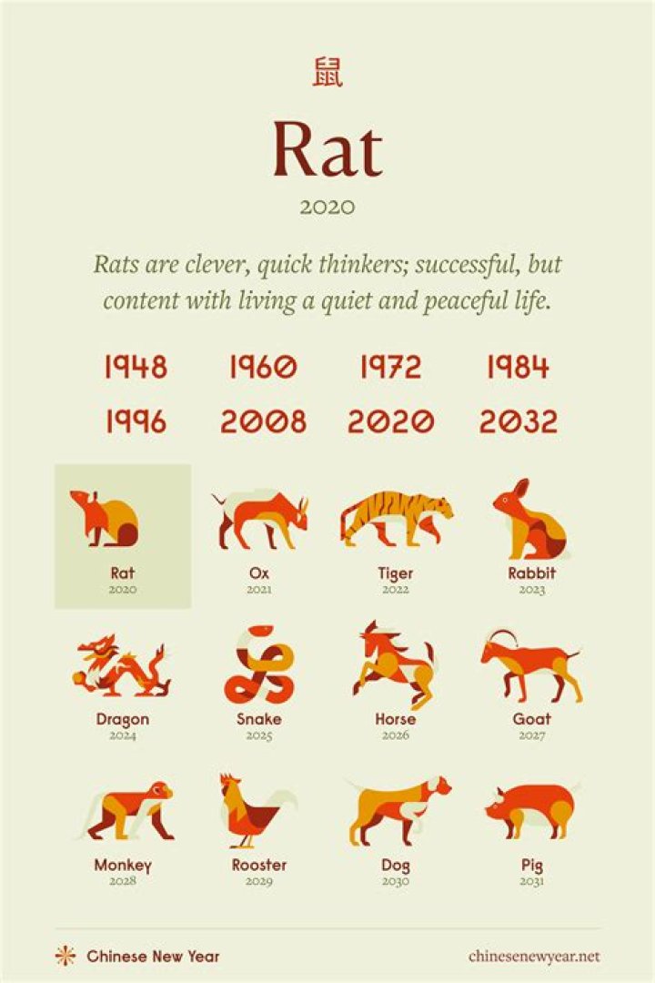 Year 1984 Chinese Zodiac: Unveiling the Mysteries of the Rat