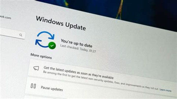 Zefoy Update: Everything You Need to Know About the Latest Features and Enhancements